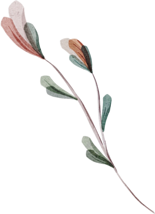 Watercolor Botanical floral